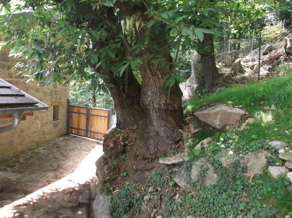 Agriturismo Ai Ronchi Sorico Luaran gambar
