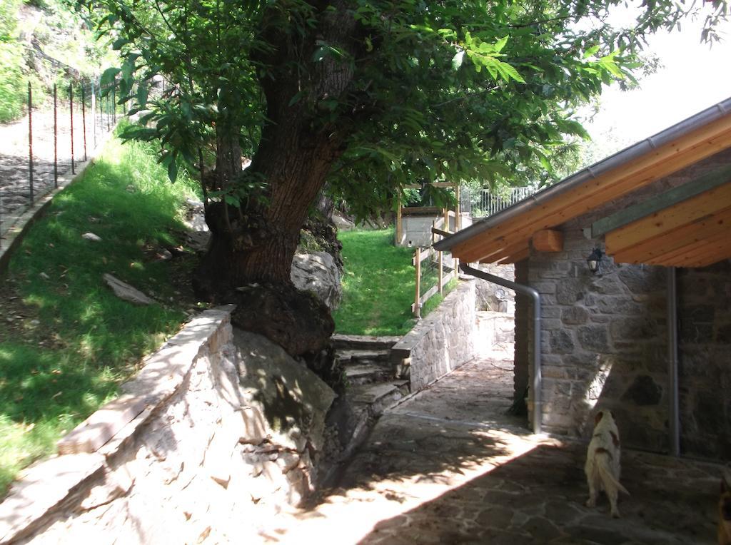 Agriturismo Ai Ronchi Sorico Luaran gambar